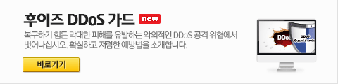 후이즈 DDoS 가드